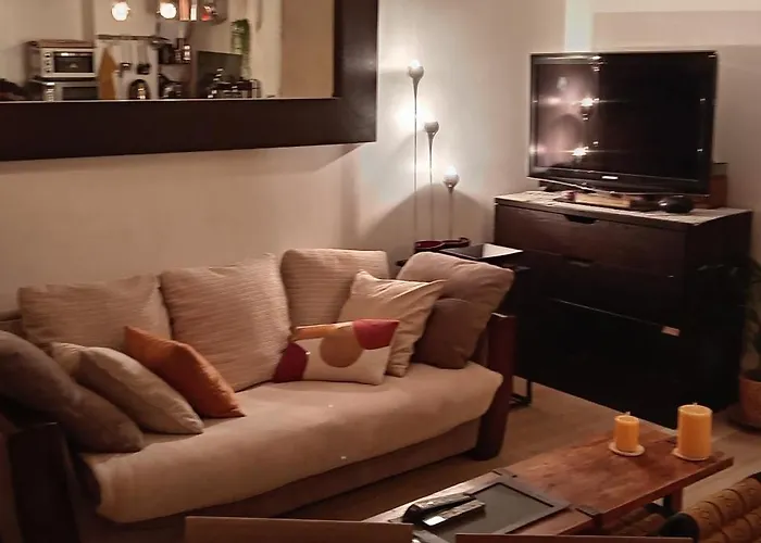 Apartamento Magnifique Loft 65m En Open Space